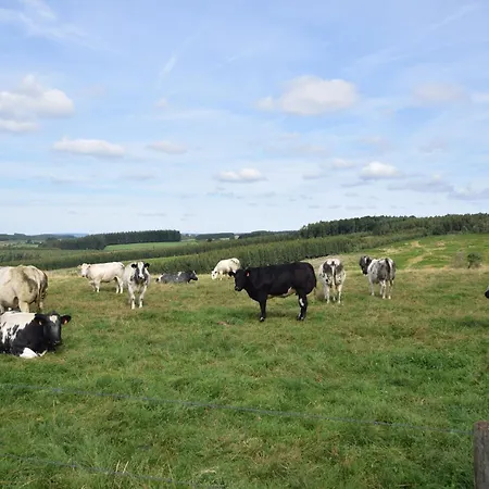 Dom wakacyjny Group House In Belgium With Large Garden Gouvy