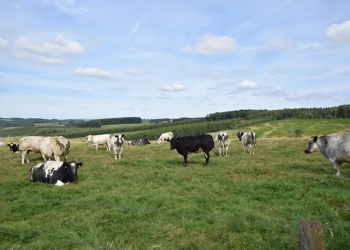 Holiday home Group House In Belgium With Large Garden Gouvy